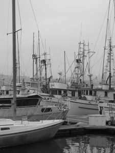 Black and white image of boats in a marina